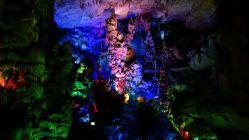SOMA