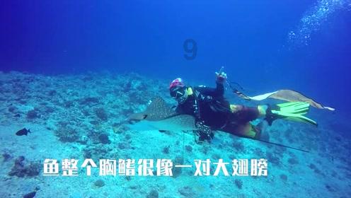 【两会＠你】黑龙江省人大代表李晗龙：制定文旅行业全流程标准 发展特色文化旅游