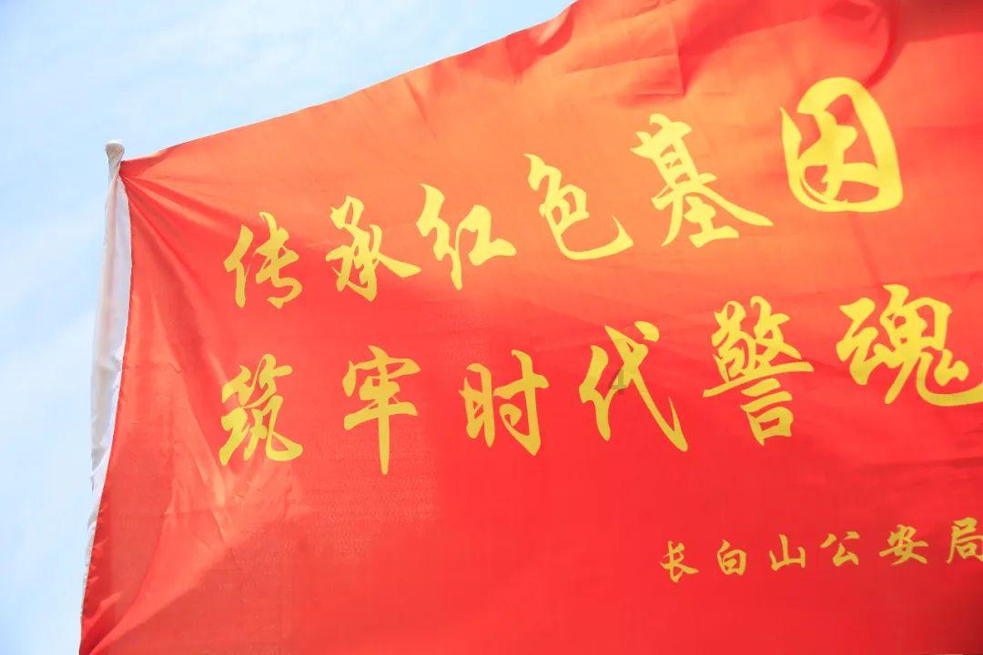 3D冰球对抗赛